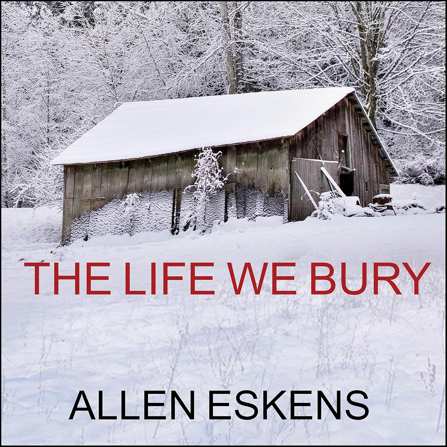 The Life We Bury